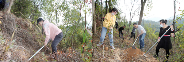C:\Users\luoyufang\Desktop\20210315義務植樹\廈門宏業(yè)義務植樹照片\1.jpg