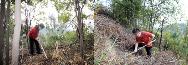 C:\Users\luoyufang\Desktop\20210315義務植樹\廈門宏業(yè)義務植樹照片\3.jpg